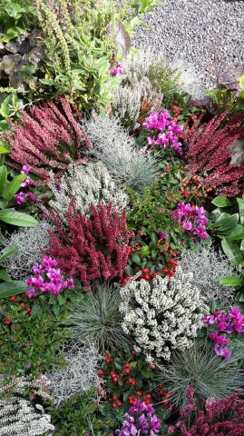 Landesgartenschau 2017